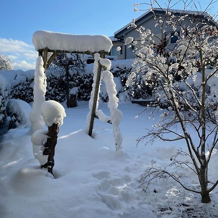 "Ferienhaus Am Mondsee" Mit Direktem Schafbergblick Im Salzkammergut Bei Salzburg Exterior photo